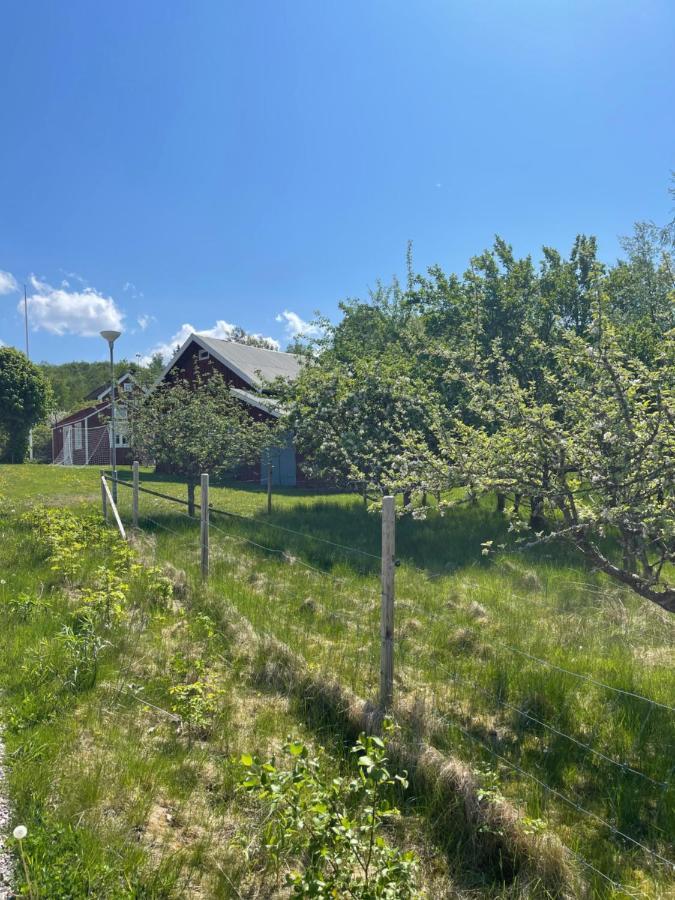 Lyckan - Minihus I Lantlig Miljoe Ulricehamn Exterior photo